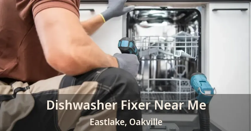 Dishwasher Fixer Near Me Eastlake, Oakville - ON