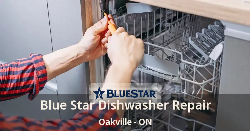 Blue Star Dishwasher Repair Oakville - ON