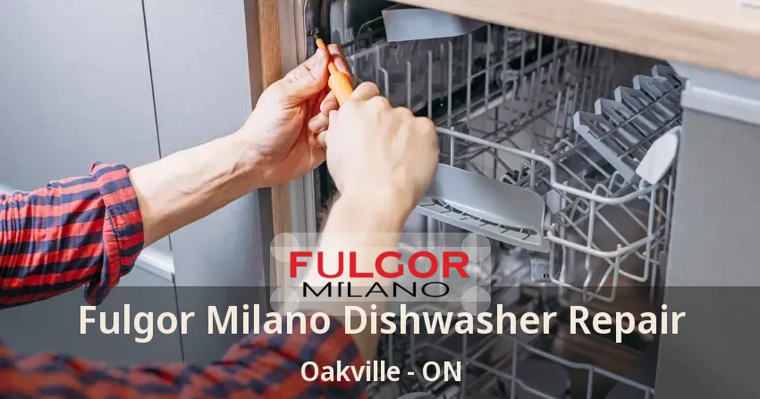 Fulgor Milano Dishwasher Repair Oakville - ON