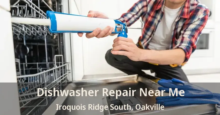 Dishwasher Repair Near Me Iroquois Ridge South, Oakville - ON
