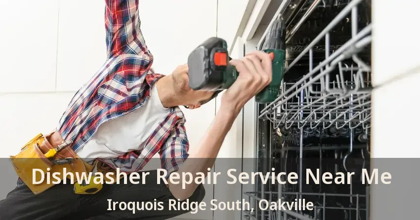 Dishwasher Repair Service Near Me Iroquois Ridge South, Oakville - ON