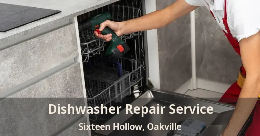 Dishwasher Repair Service Sixteen Hollow, Oakville - ON