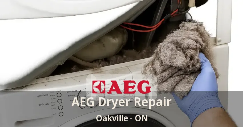 AEG Dryer Repair Oakville - ON