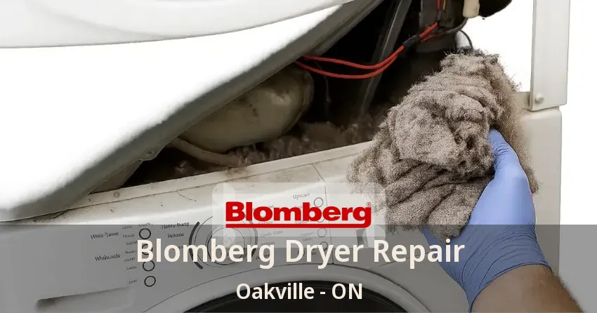 Blomberg Dryer Repair Oakville - ON
