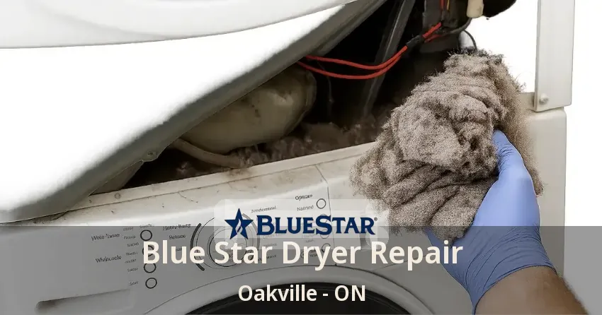 Blue Star Dryer Repair Oakville - ON