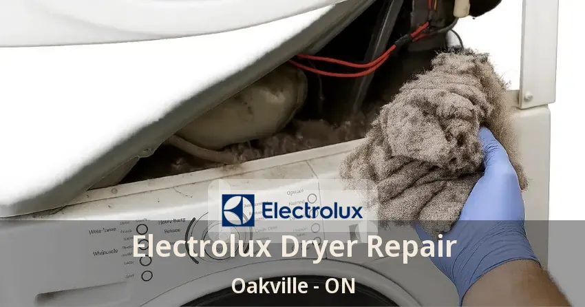 Electrolux Dryer Repair Oakville - ON
