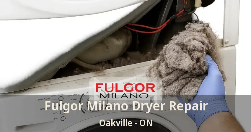 Fulgor Milano Dryer Repair Oakville - ON