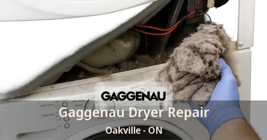 Gaggenau Dryer Repair Oakville - ON