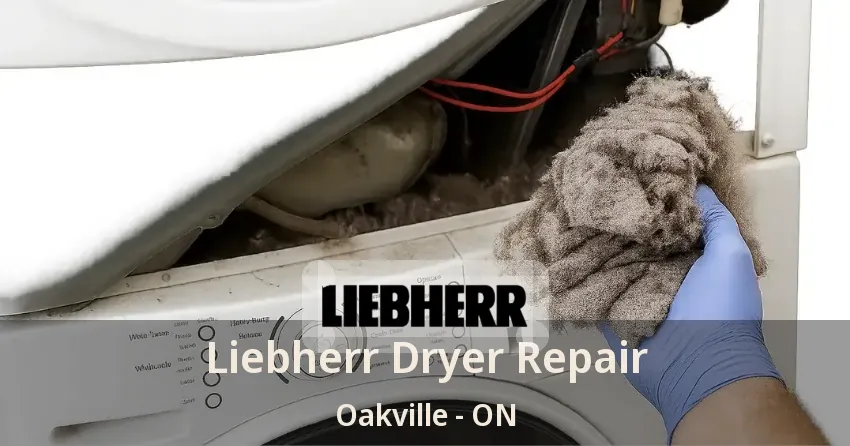Liebherr Dryer Repair Oakville - ON