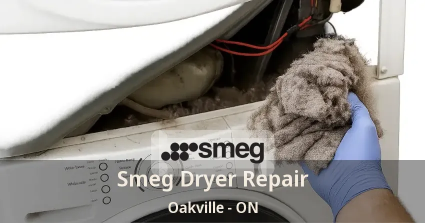 Smeg Dryer Repair Oakville - ON