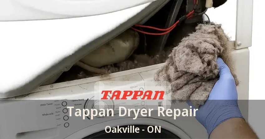 Tappan Dryer Repair Oakville - ON