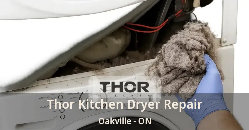 Thor Kitchen Dryer Repair Oakville - ON