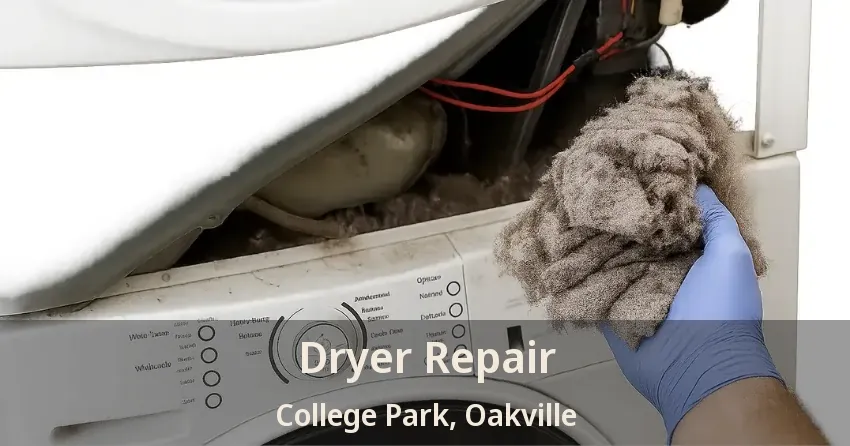 Dryer Repair College Park, Oakville - ON