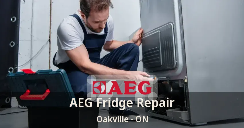 AEG Fridge Repair Oakville - ON
