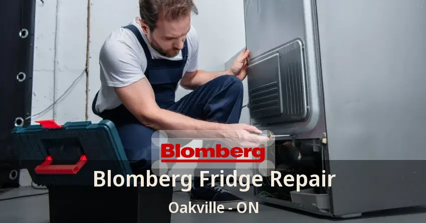 Blomberg Fridge Repair Oakville - ON