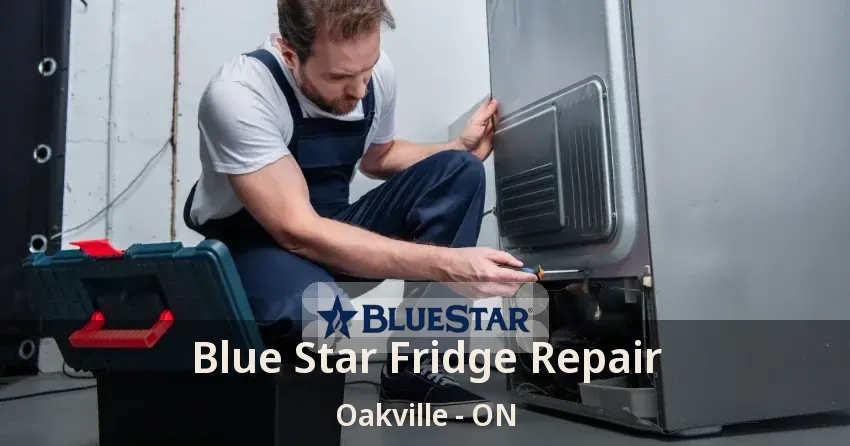Blue Star Fridge Repair Oakville - ON