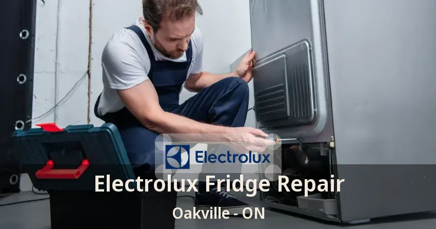 Electrolux Fridge Repair Oakville - ON