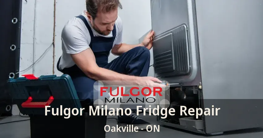 Fulgor Milano Fridge Repair Oakville - ON