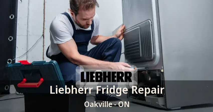 Liebherr Fridge Repair Oakville - ON