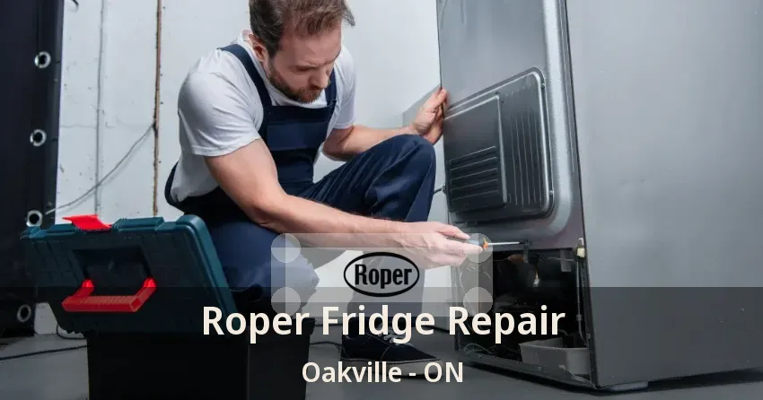 Roper Fridge Repair Oakville - ON