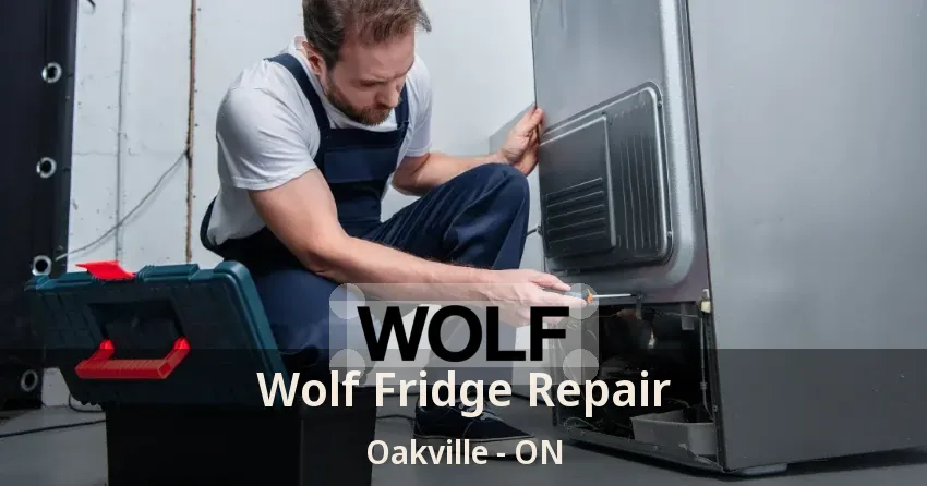 Wolf Fridge Repair Oakville - ON