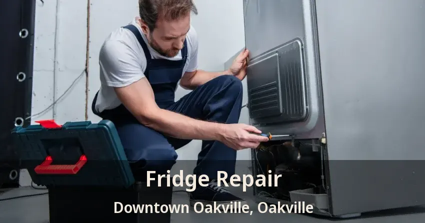Fridge Repair Downtown Oakville, Oakville - ON