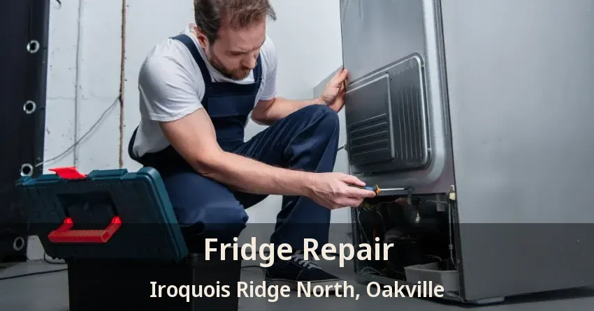 Fridge Repair Iroquois Ridge North, Oakville - ON