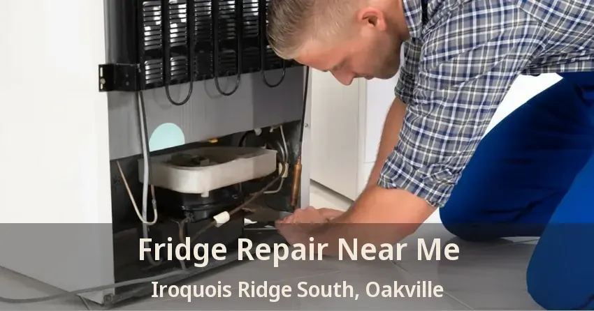 Fridge Repair Near Me Iroquois Ridge South, Oakville - ON