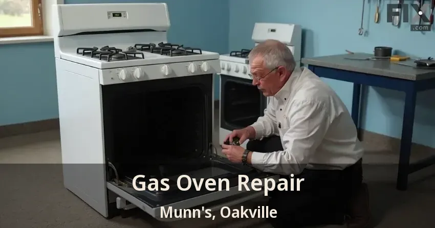 Gas Oven Repair Munn's, Oakville - ON