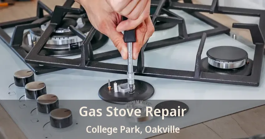 Gas Stove Repair College Park, Oakville - ON