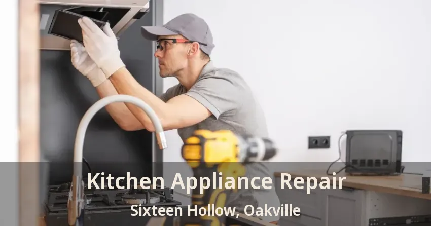 Kitchen Appliance Repair Sixteen Hollow, Oakville - ON