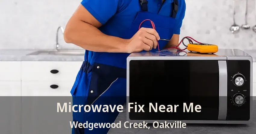 Microwave Fix Near Me Wedgewood Creek, Oakville - ON