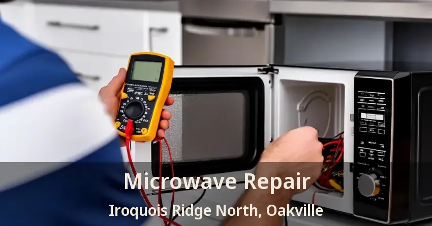 Microwave Repair Iroquois Ridge North, Oakville - ON