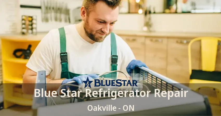 Blue Star Refrigerator Repair Oakville - ON