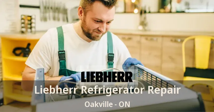 Liebherr Refrigerator Repair Oakville - ON
