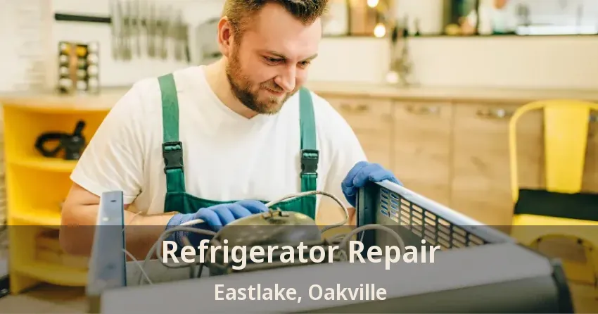 Refrigerator Repair Eastlake, Oakville - ON