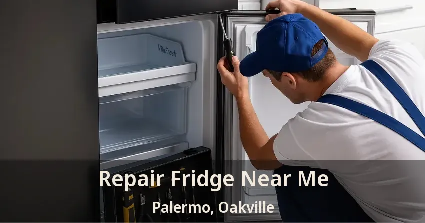 Repair Fridge Near Me Palermo, Oakville - ON