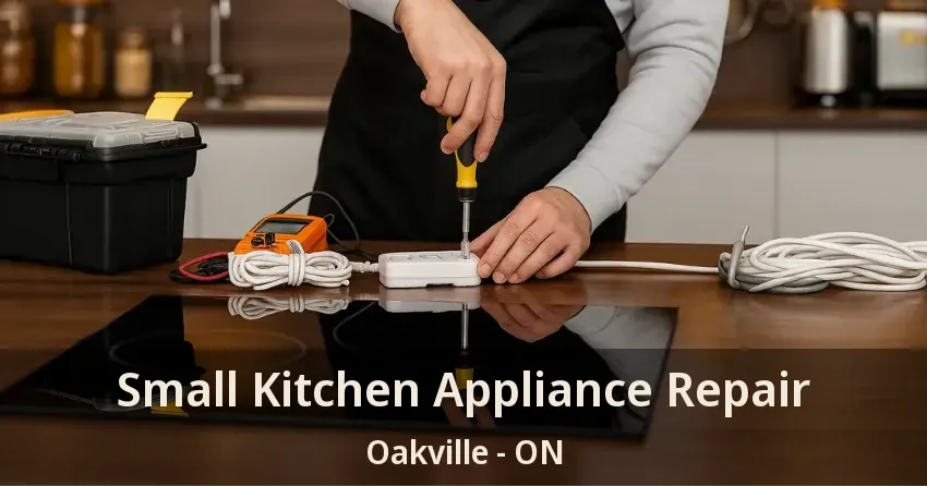 Small Kitchen Appliance Repair Oakville - ON