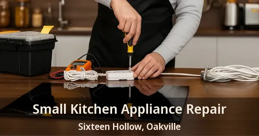 Small Kitchen Appliance Repair Sixteen Hollow, Oakville - ON