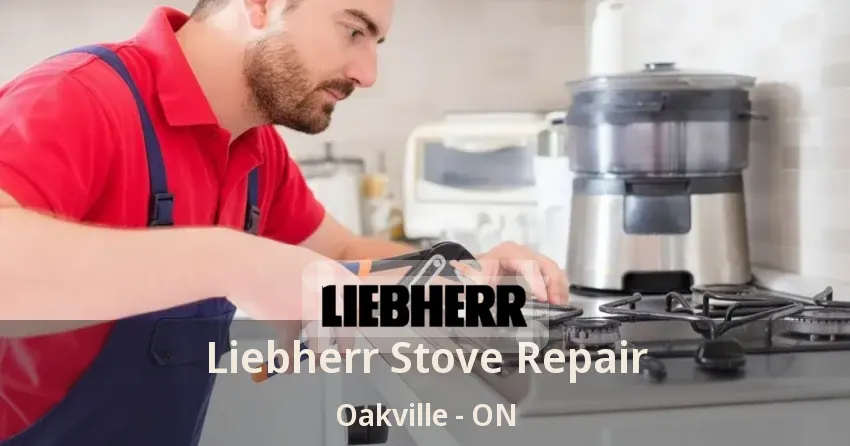 Liebherr Stove Repair Oakville - ON