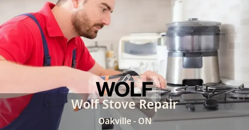 Wolf Stove Repair Oakville - ON