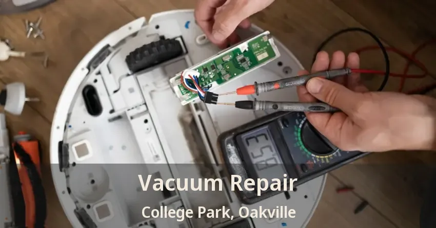 Vacuum Repair College Park, Oakville - ON