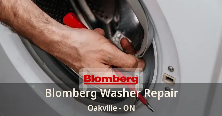 Blomberg Washer Repair Oakville - ON