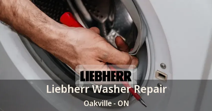 Liebherr Washer Repair Oakville - ON